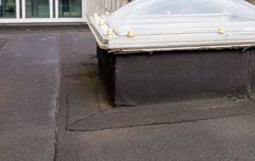 disadvantages of Salden flat roofs