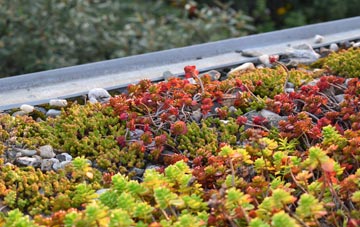 the cost of Salden green roof installation